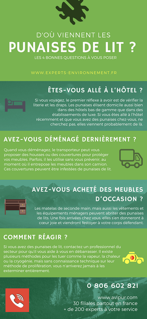 Les insectes & l'été : restez vigilants